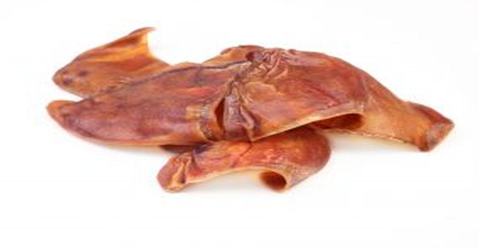 Outbreak of Multidrug-Resistant Salmonella Infections Linked to Contact with Pig Ear Dog Treats