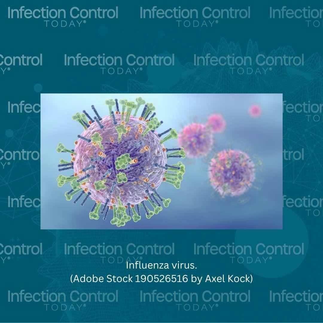 Influenza virus  (Adobe Stock 190526516 by Axel Kock)