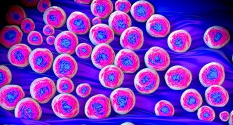 Study: Doctors’ Phones Too Often Contaminated by MRSA