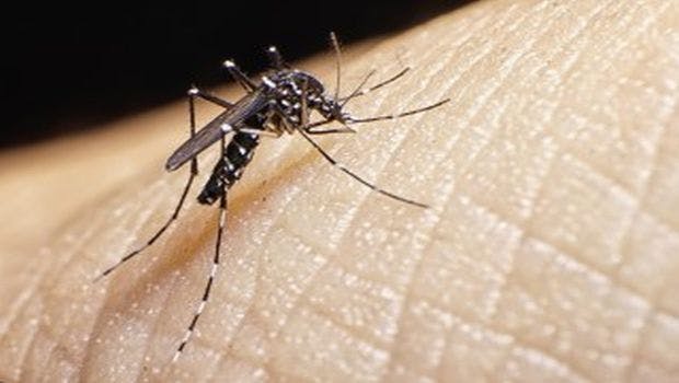 Health Department Reports First Zika Virus Case Acquired Through Sexual Transmission