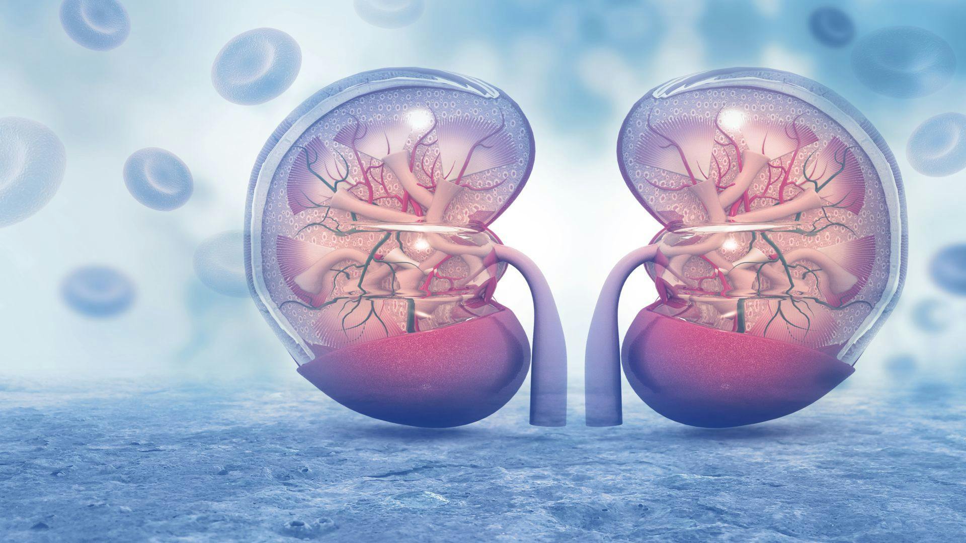 Steroid Treatment for Type of Kidney Disease Associated With Increased Risk for Serious Infections