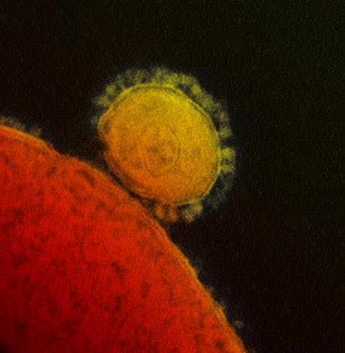 CDC Wants Schools, Businesses, Citizens to Prepare for Possible US Coronavirus Onslaught