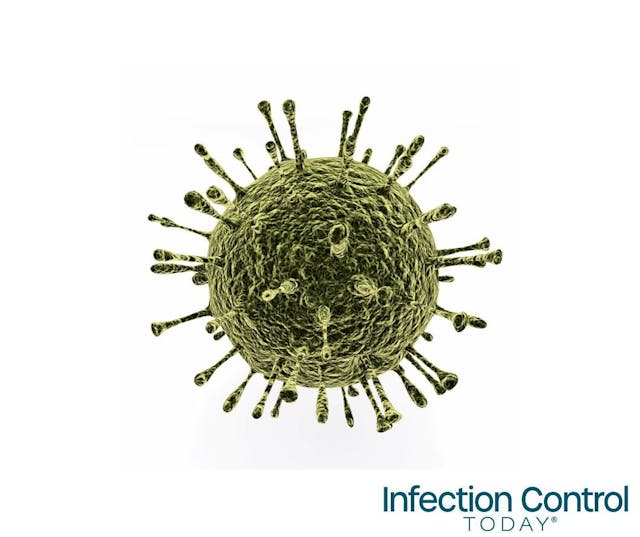 An illustration of the Norovirus. The viruses are transmitted by fecally contaminated food or water, or through person-to-person contact. Noroviruses are the most common cause of viral gastroenteritis.  (Adobe Stock 87460981 by auntspray)