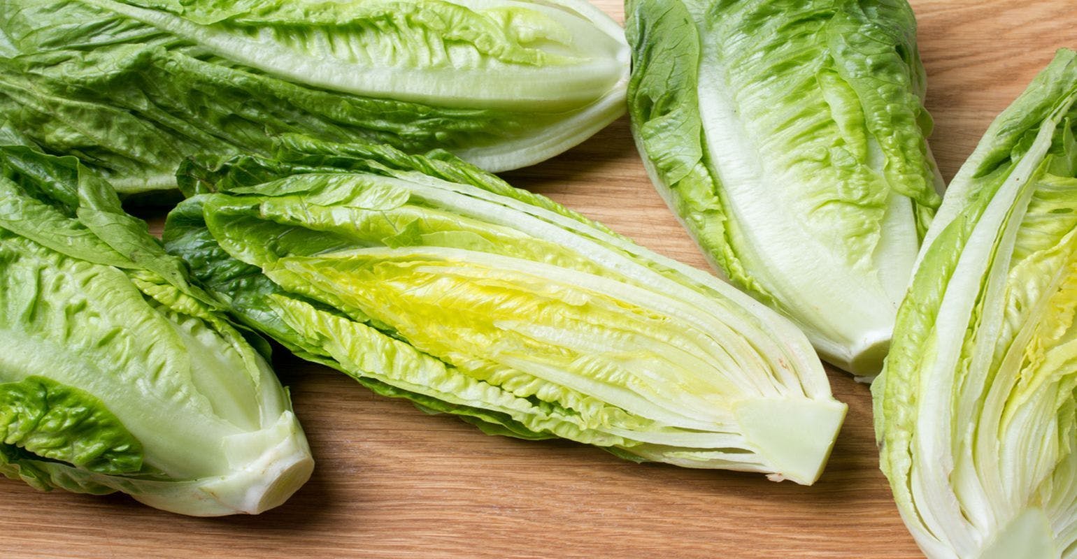 Public Health Agencies Investigating Outbreak Linked to Romaine Lettuce