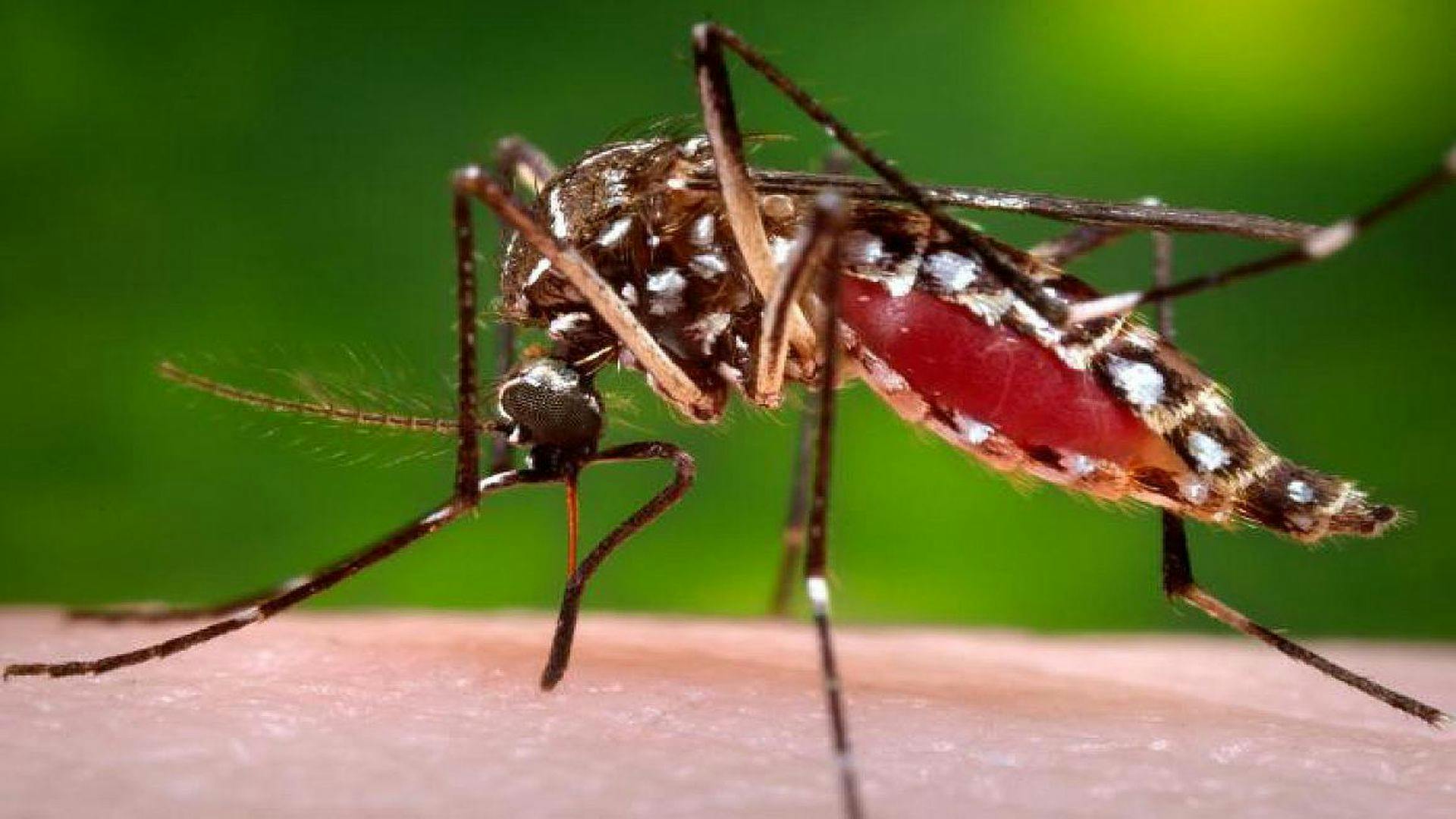 FDA Provides New Tools for Development and Evaluation of Tests for Detecting Zika Virus Infection