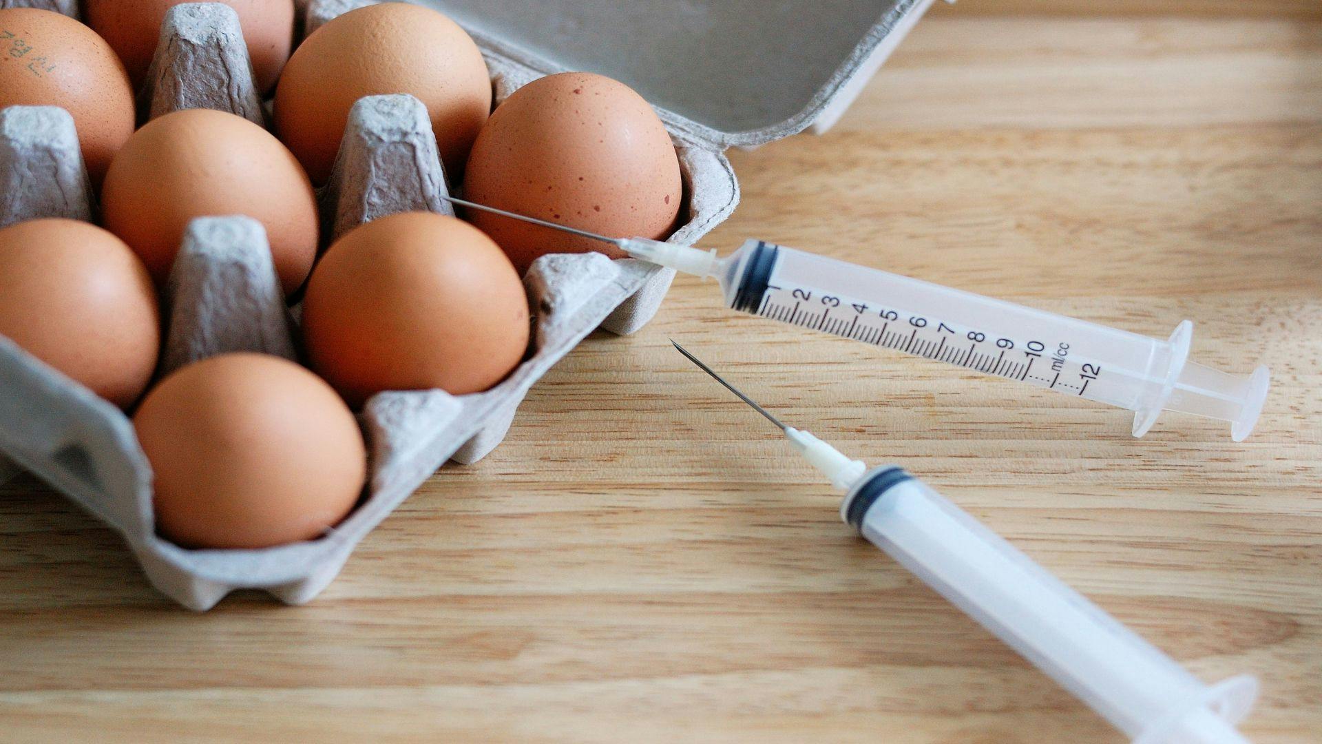 Guidelines Say No Special Precautions Needed for Flu Shots for People Allergic to Eggs