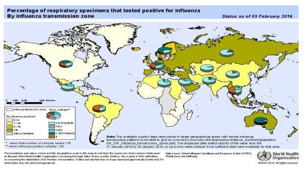 WHO Issues Influenza Risk Assessment