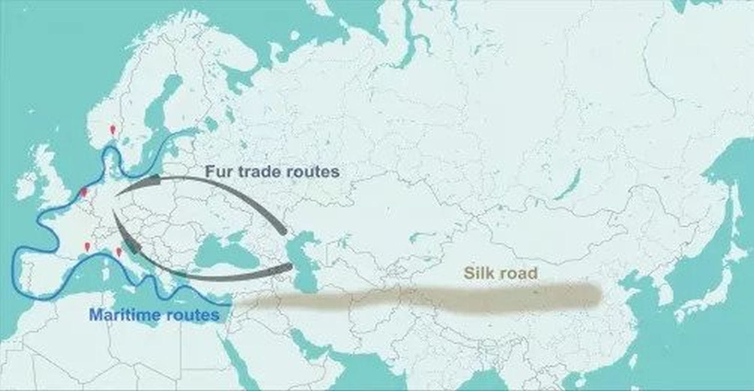 Fur Trade May Have Spread the Plague Through Europe