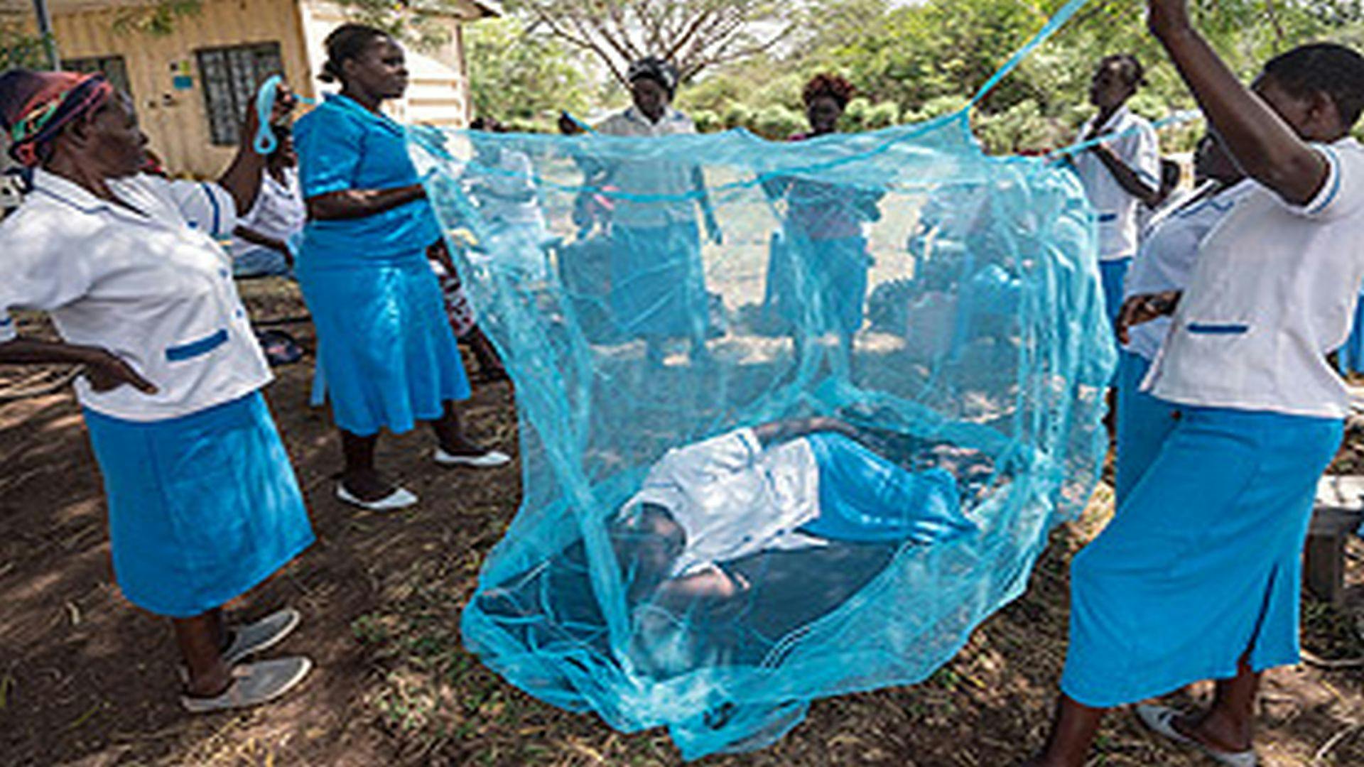 Global Response to Malaria is at a Crossroads