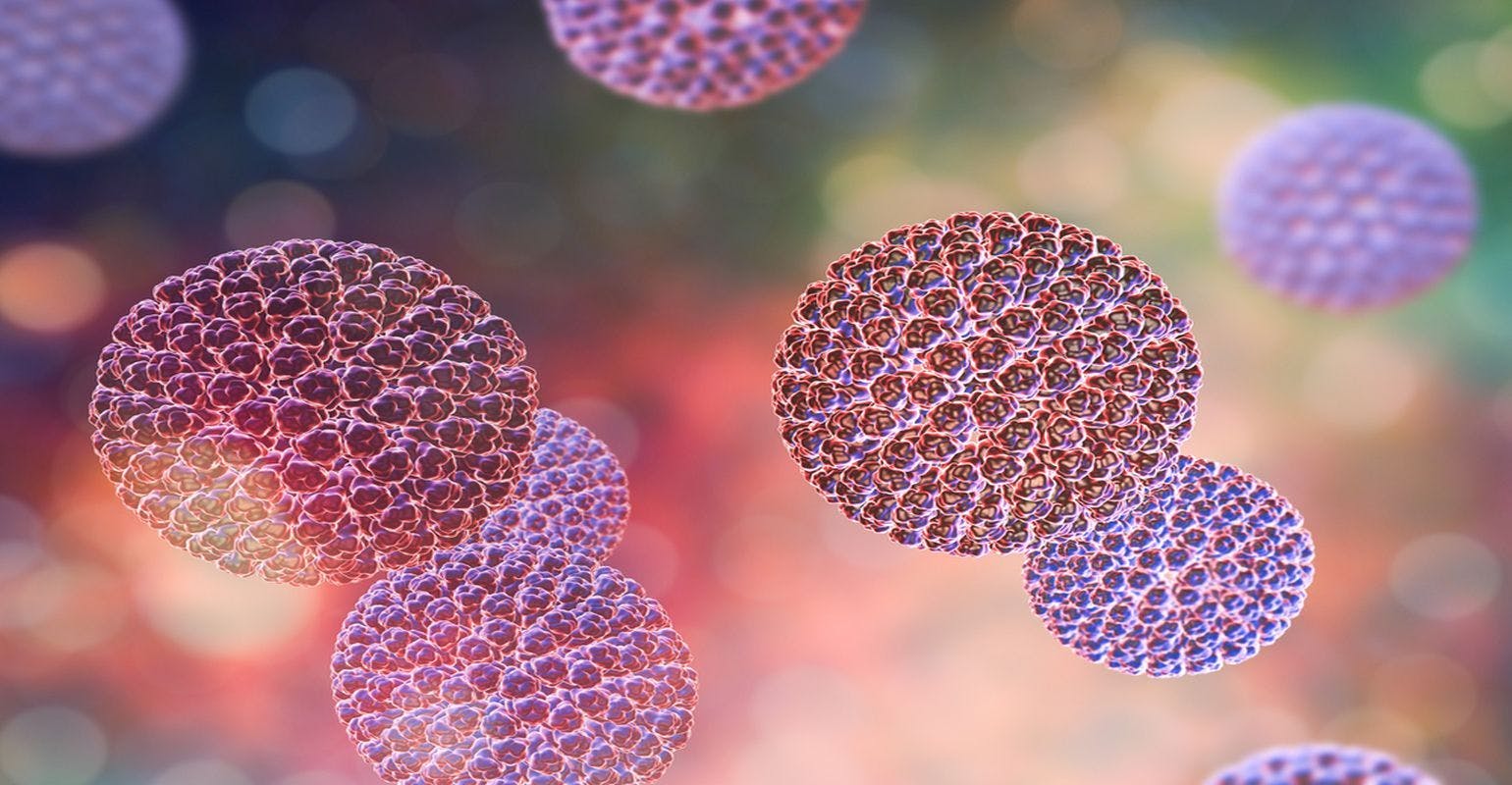Human Microbiome Influences Rotavirus Vaccine Response