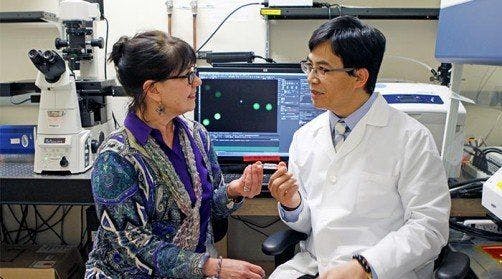 UTEP Researchers Closer to Silencing Whooping Cough
