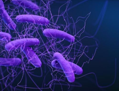 C. diff Contamination Not Affected by Ultraviolet Disinfection Devices 
