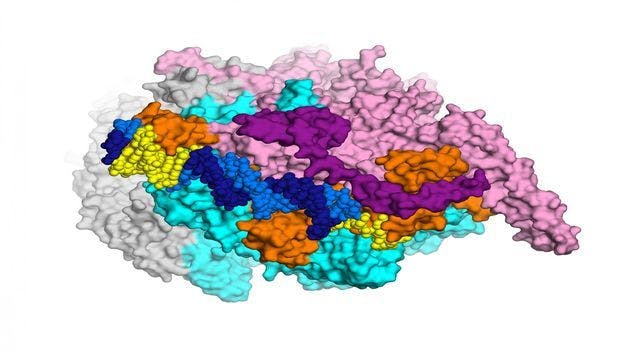 Atomic-Scale View of Bacterial Proteins Offers Path to New TB Drugs