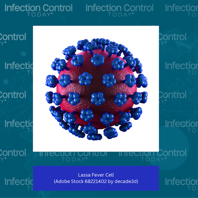Lassa Fever Cell  (Adobe Stock 68221402 by decade3d)