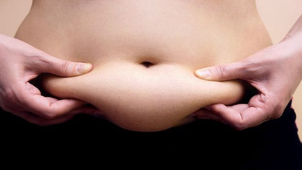 Study Finds Link Between Fecal Bacteria and Body Fat