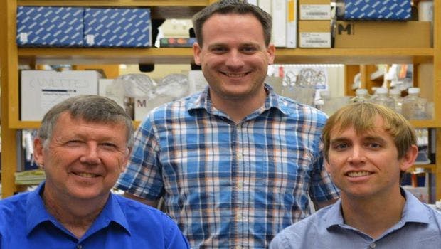 TSRI Scientists Discover Antibodies That Target Holes in HIV's Defenses