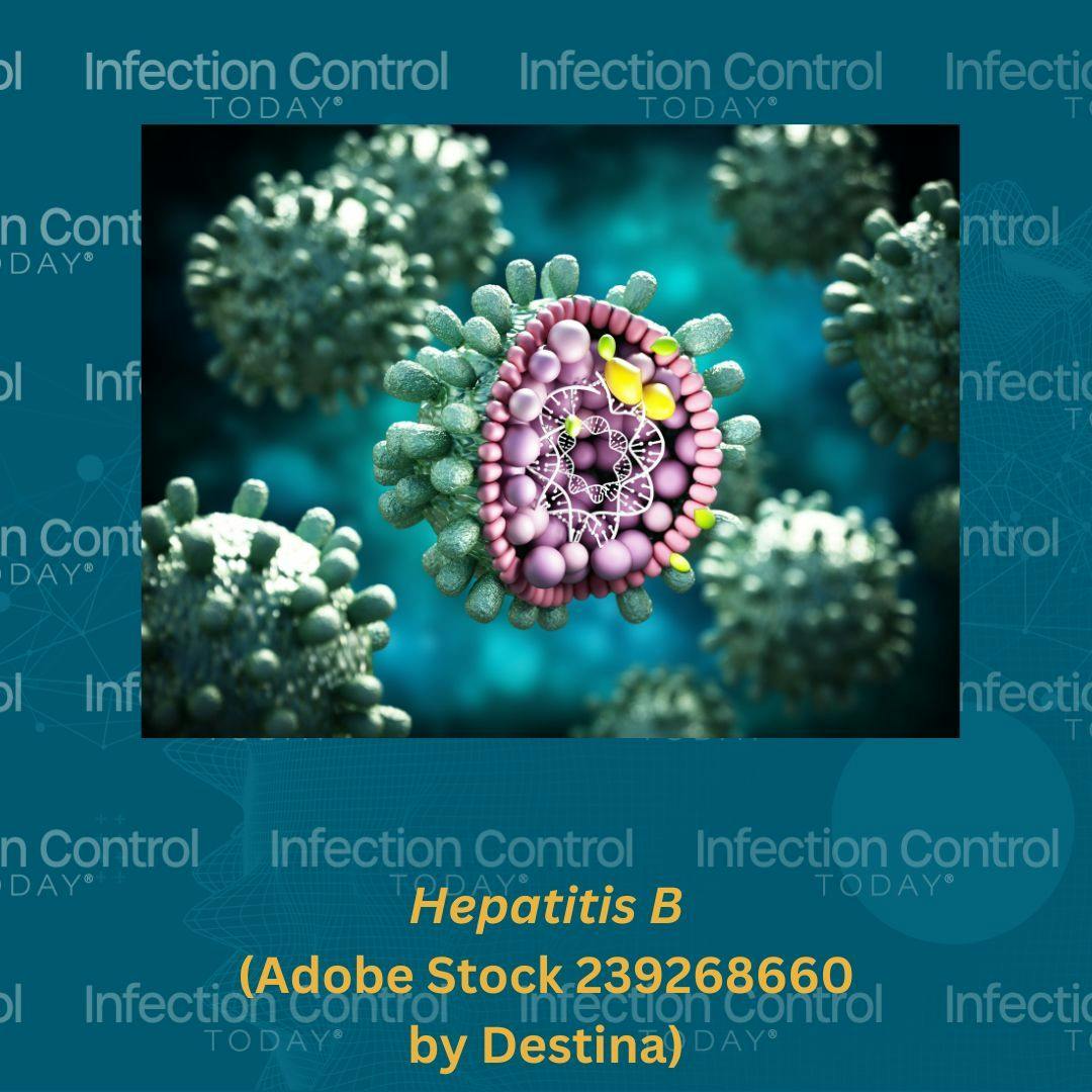 Hepatitis B virus  (Adobe Stock 239268660 by Destina)