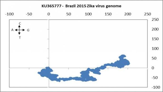 Application of Novel Sequence Descriptors in Zika Virus Characterization