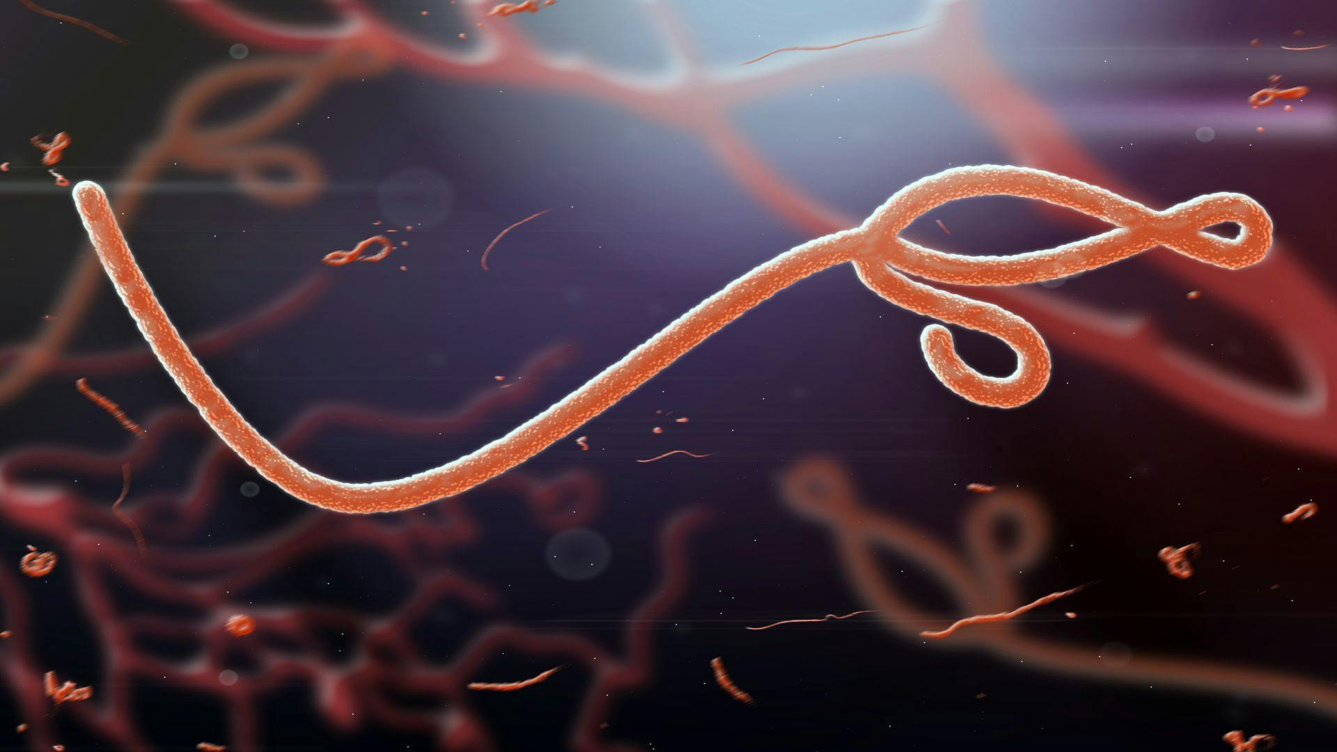 Johns Hopkins Materials Scientists Probe a Protein's Role in Accelerating Ebola's Spread