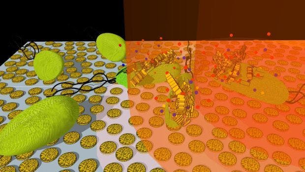 New Technique for Rapidly Killing Bacteria Using Tiny Gold Disks and Light
