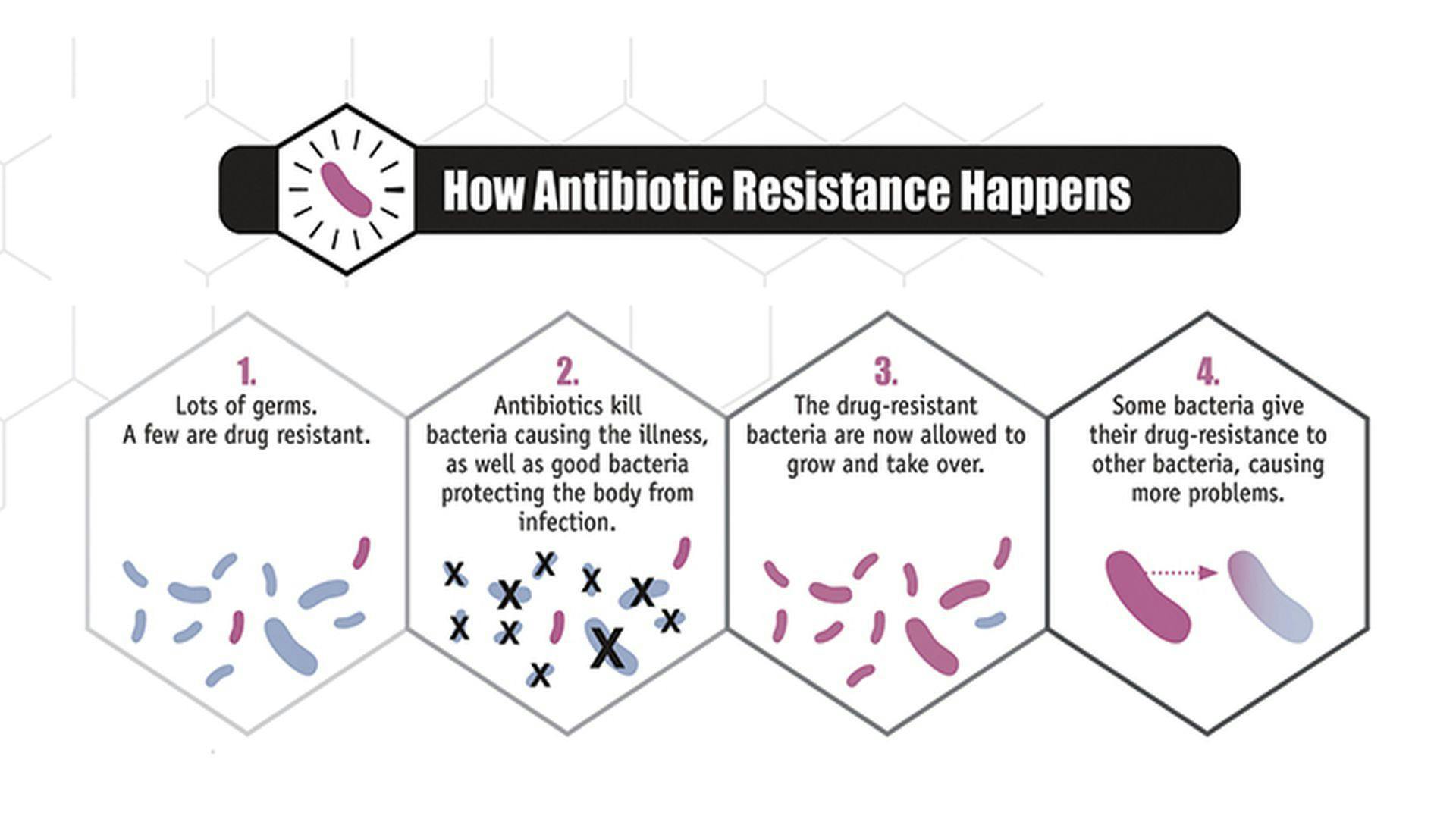 CDC Tool Maps Progress Against Antibiotic Resistance in Every State