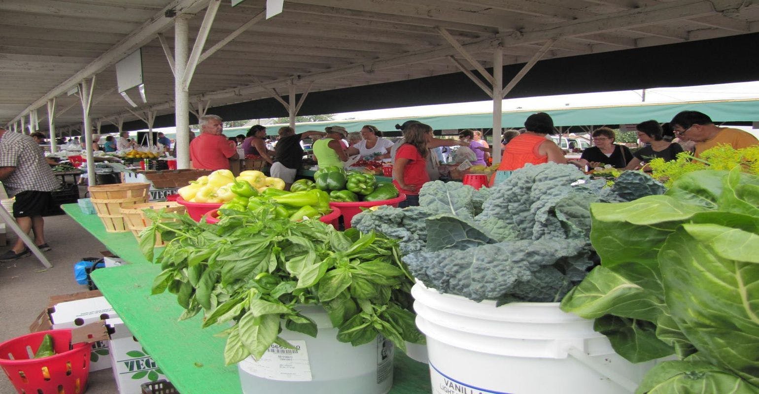Farmers Market Vendors Need Training to Improve Food-Safety Practices
