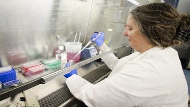 Saint Louis University to Launch Human Zika Vaccine Trial