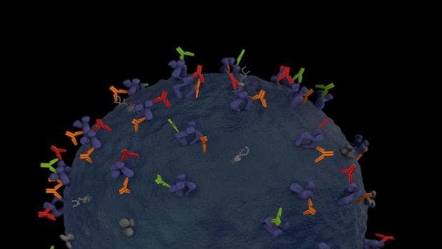 Simpler Technique Yields Antibodies to a Range of Infectious Agents