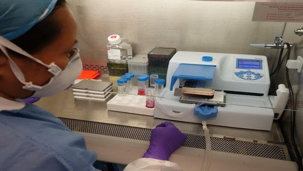 NIH Collaboration Helps Advance Potential Zika Treatments