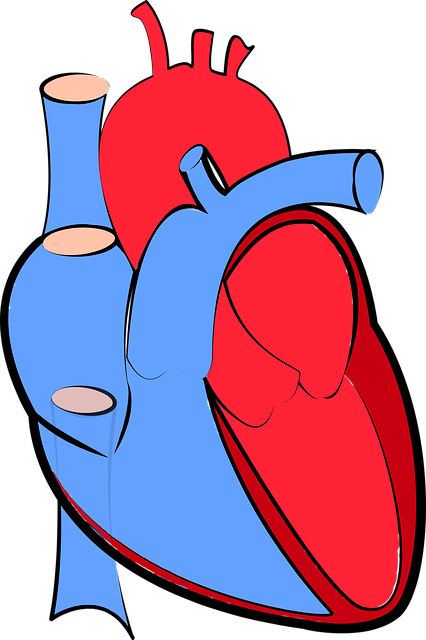 Is COVID-19 Primarily a Heart and Vascular Disease?