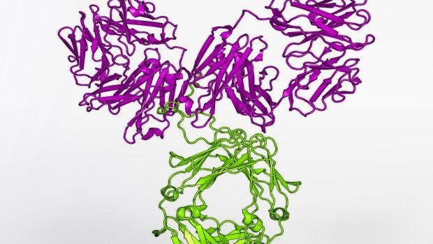 NIH Launches Large Clinical Trials of Antibody-based HIV Prevention