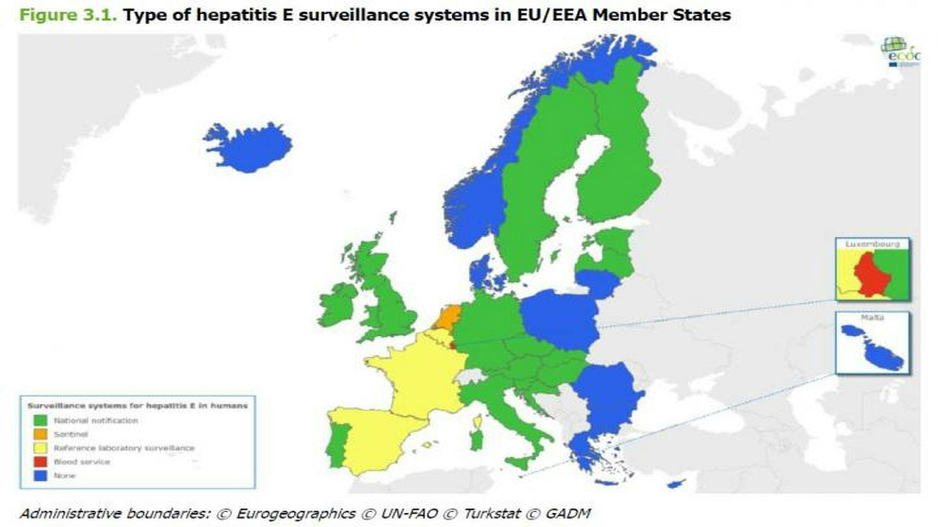 10-Fold Increase of Hepatitis E Cases in the EU in the Last Decade