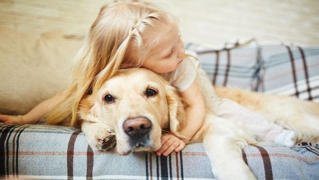 Pets and Children are a Potential Source of Clostridium difficile in the Community