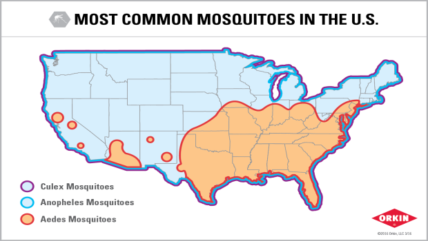 Atlanta, Southeast Region Top Mosquito Cities List