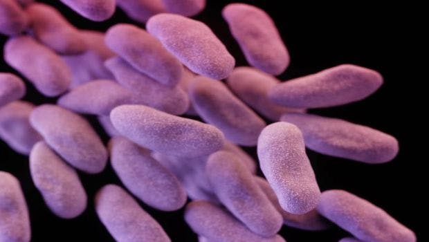 Coordinated Response Could Reduce Spread of Emerging Superbug in Healthcare Facilities