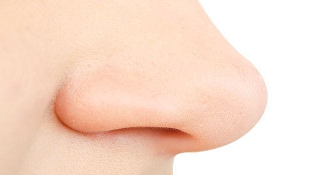 New Findings Detail How Beneficial Bacteria in the Nose Suppress Pathogenic Bacteria