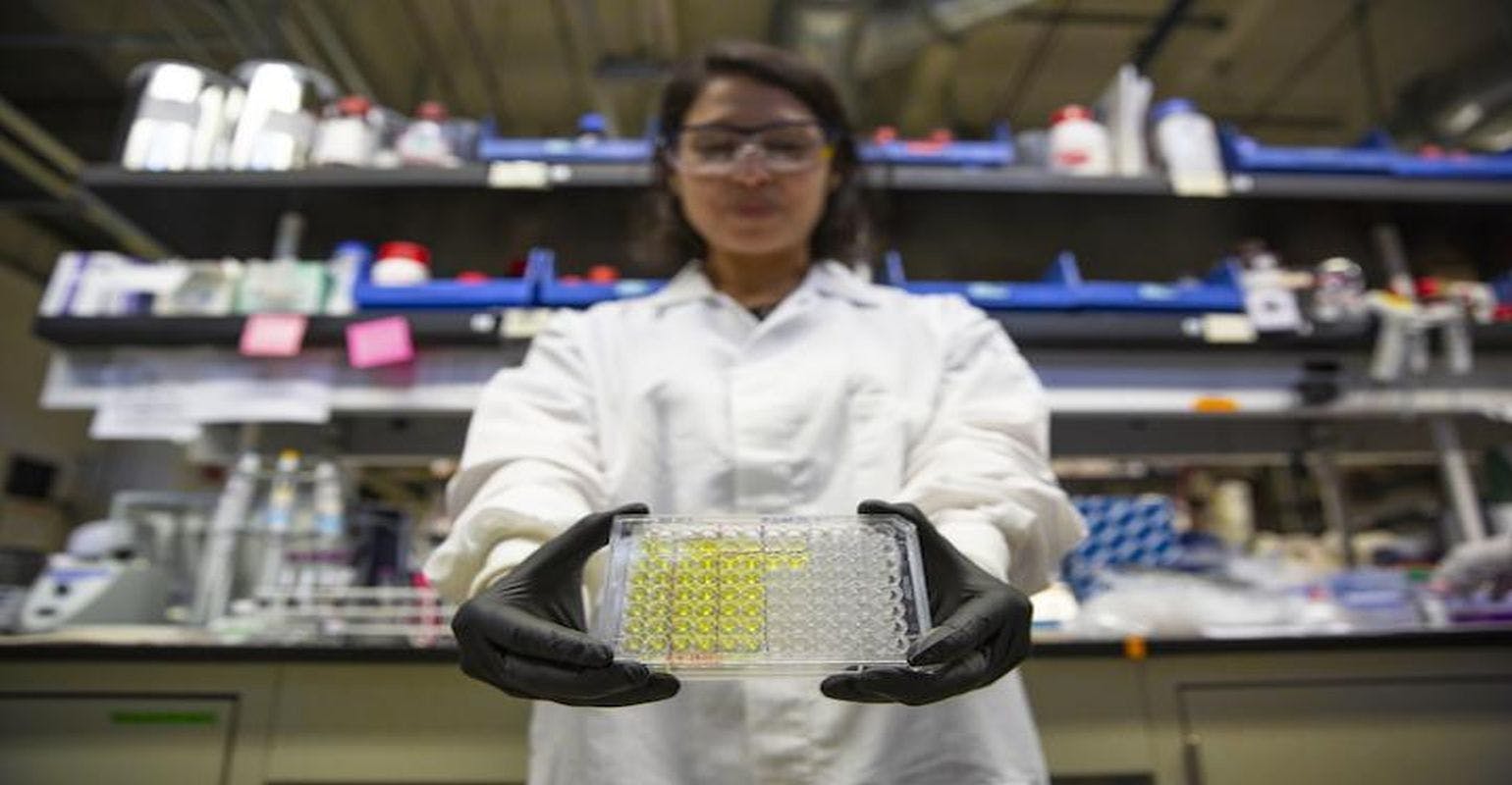 New Test Rapidly Identifies Antibiotic-Resistant Superbugs