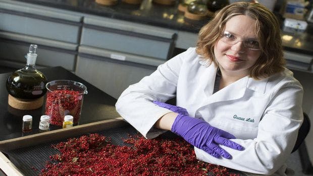 Brazilian Peppertree Has the Power to Knock Out Antibiotic-Resistant Bacteria