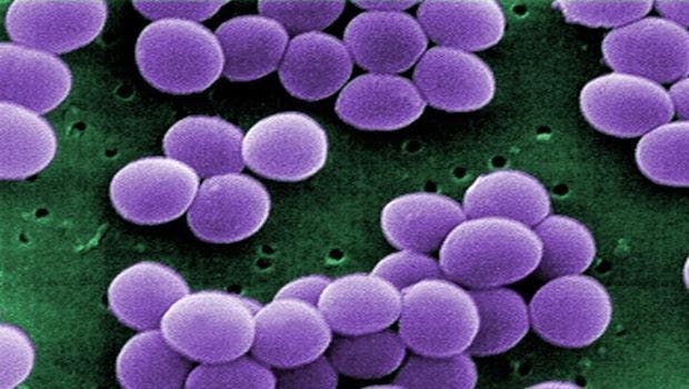 Atomic-Level Motion May Drive Bacteria's Ability to Evade Immune System Defenses