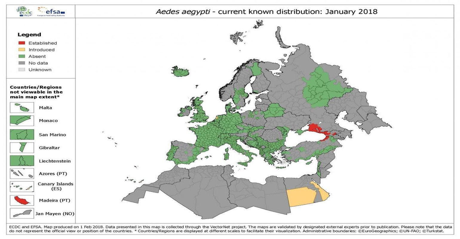 New Settlements of Aedes aegypti Raising Concerns for Continental European Union