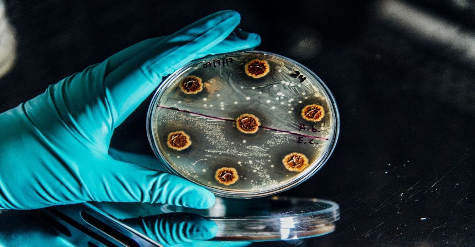 Scientists Make It Possible to Rank the Risk of Antibiotic Resistance Genes