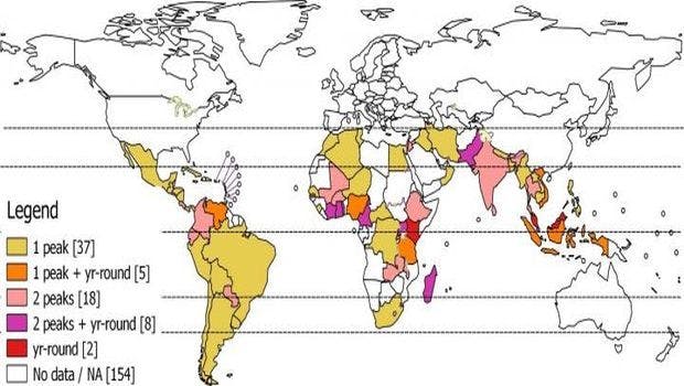Influenza in the Tropics Shows Variable Seasonality