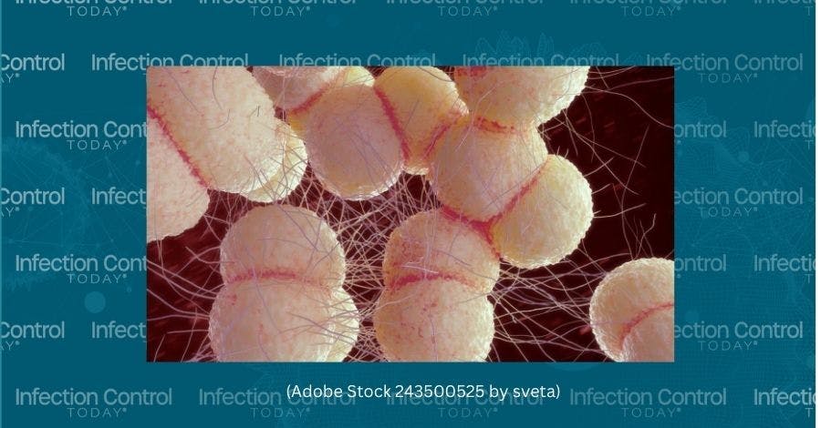 Gonorrhea bacteria 3d illustration   (Adobe Stock 243500525 by sveta)