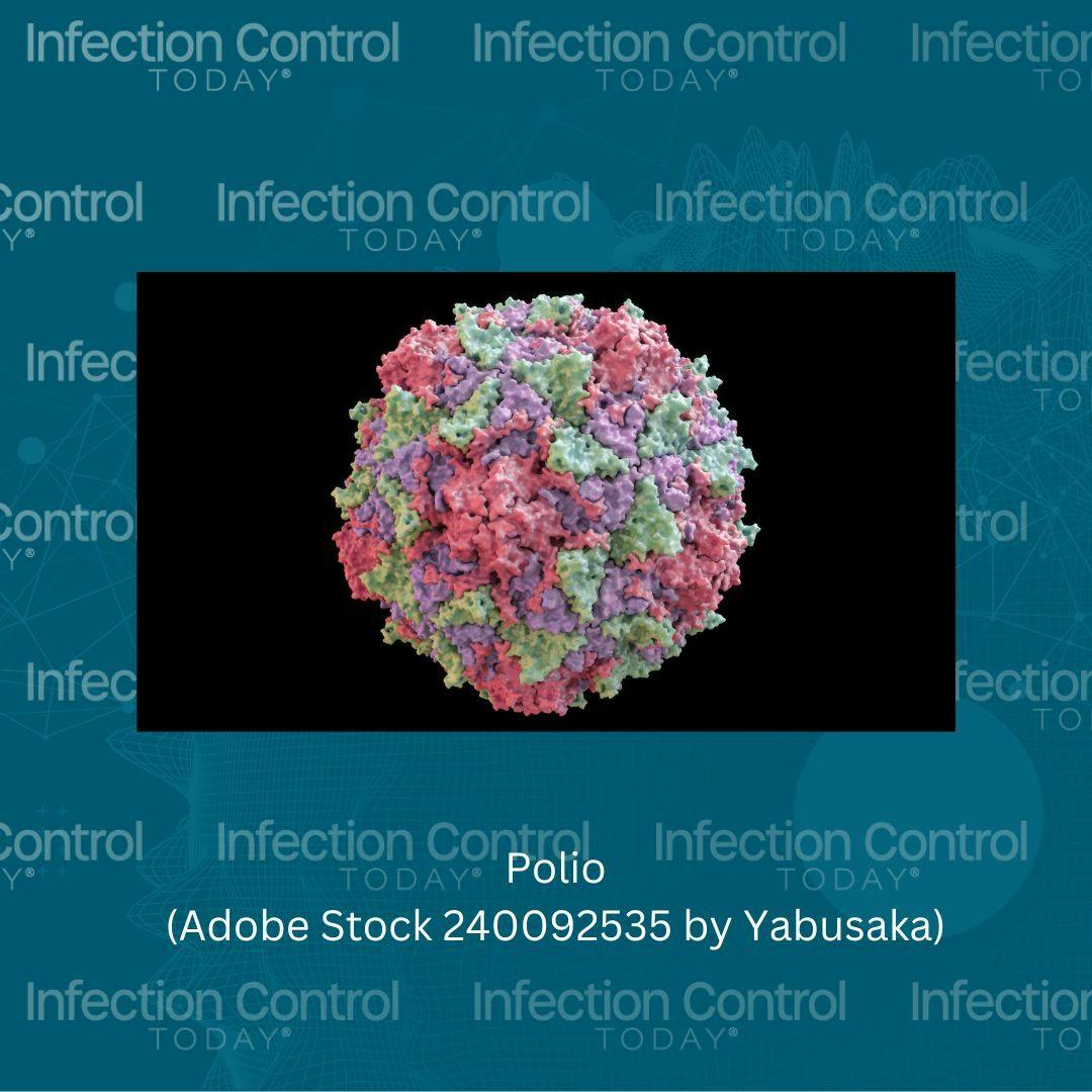 Polio  (Adobe Stock 240092535)