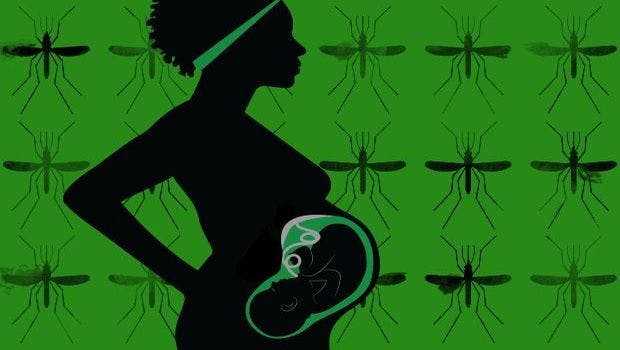 When Malaria Infects the Placenta During Pregnancy, Baby's Future Immunity Can Be Affected