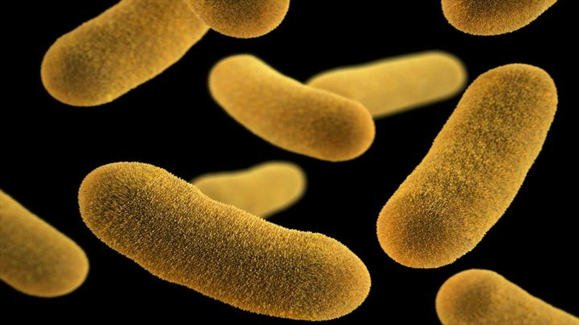 Slowing Dangerous Bacteria May Be More Effective Than Killing Them