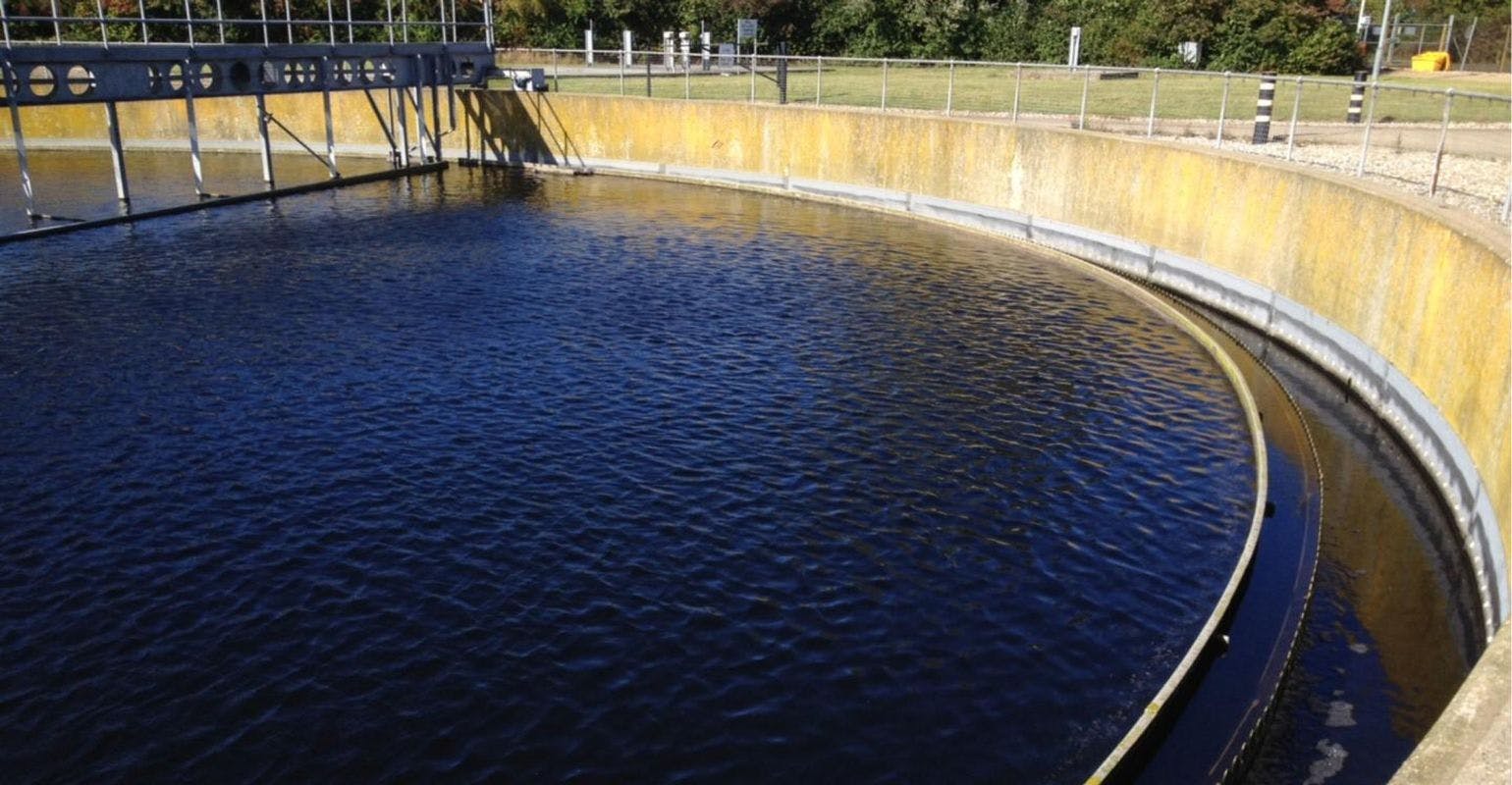 Pathogenic Bacteria Found in Wastewater Treatment Plants