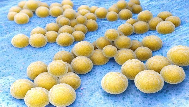 Eight Years of Decreased MRSA Infections Associated With Veterans Affairs Prevention Initiative