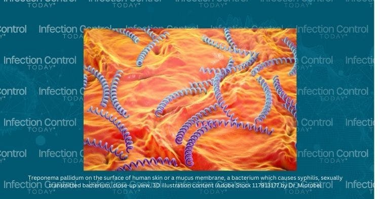 Treponema pallidum on the surface of human skin or mucus membrane, bacterium which causes syphilis, sexually transmitted bacterium, close-up view. 3D illustration   (Adobe Stock 117913177By Dr_Microbe)