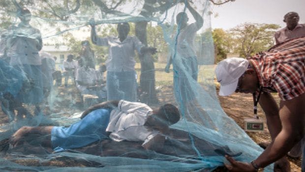 WHO Pushes for Prevention on World Malaria Day